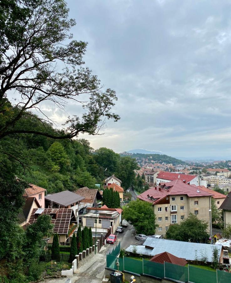 Nature Apartment - Minutes Away From The Old Town And Afi Mall Braşov Dış mekan fotoğraf